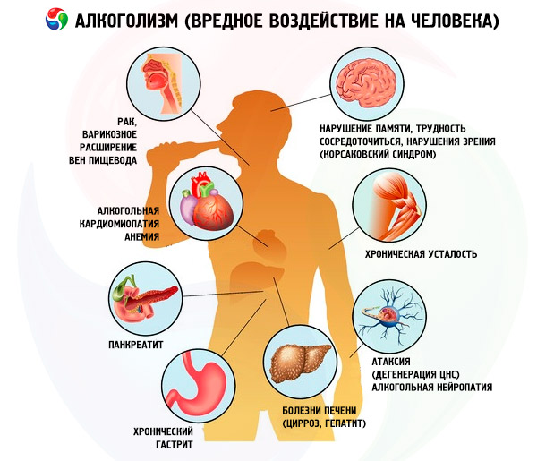 Реферат На Тему Алкоголь И Его Влияние На Здоровье Человека