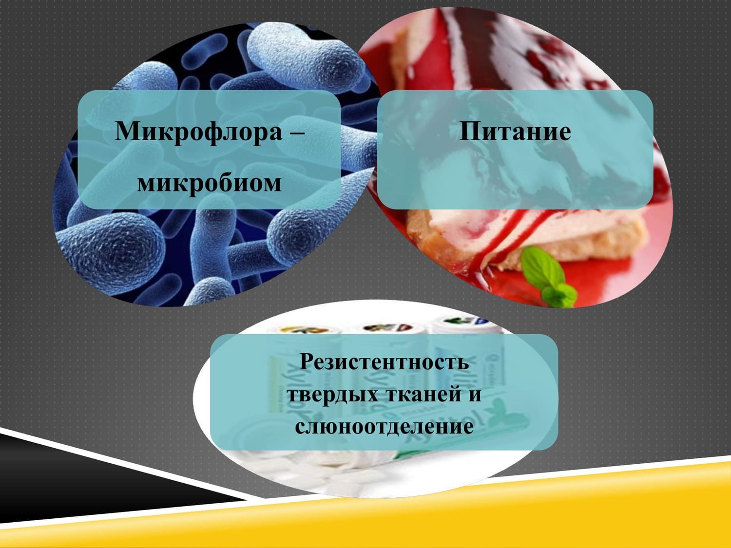 05 03 25 11 1