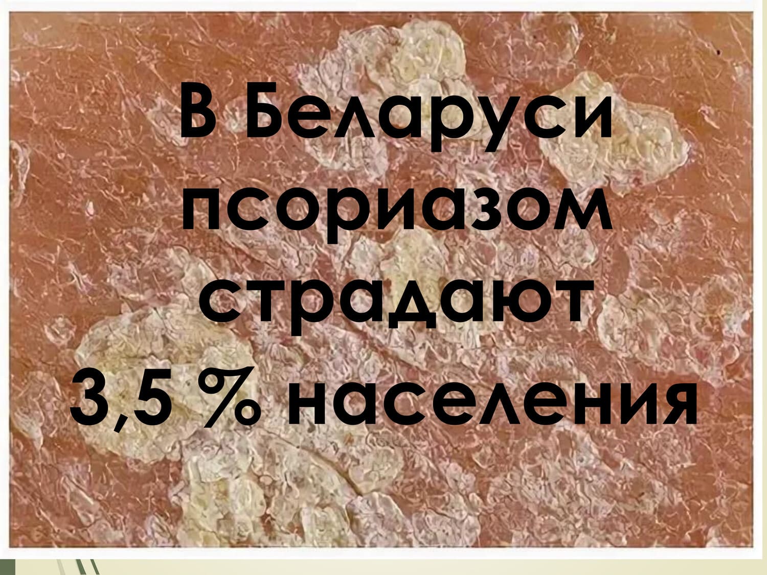 08 10 25 09 1
