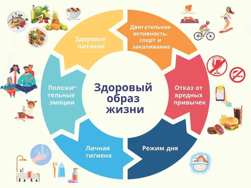 Основные принципы здорового образа