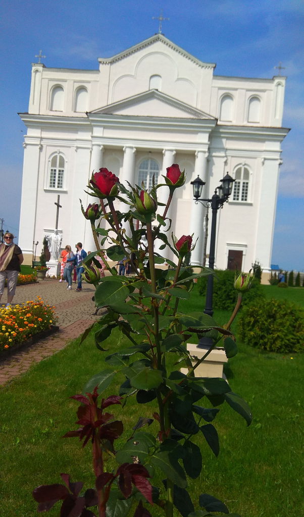 IMG 20210814 135514