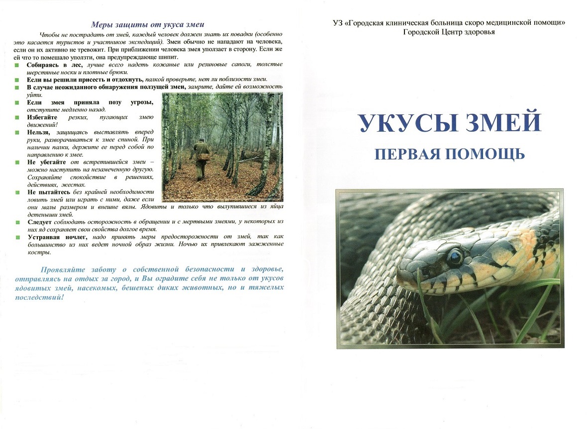 змеи2 001