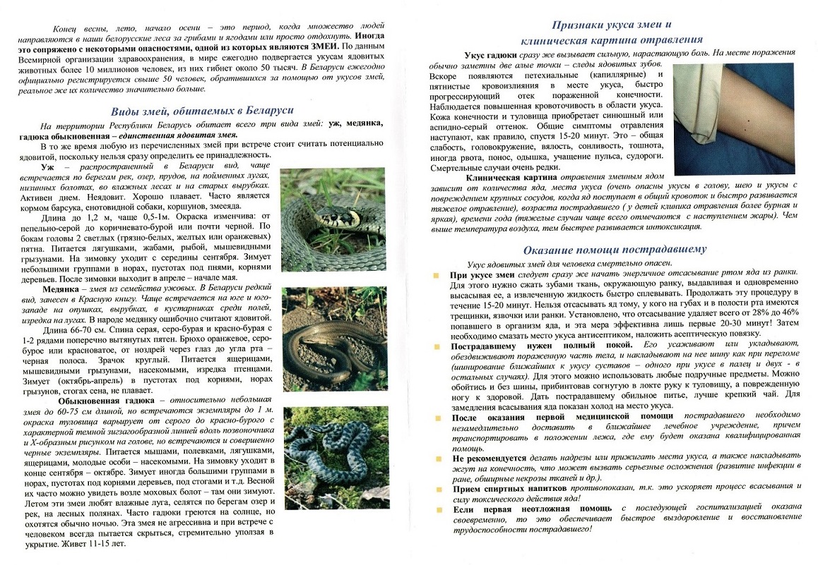змеи 001
